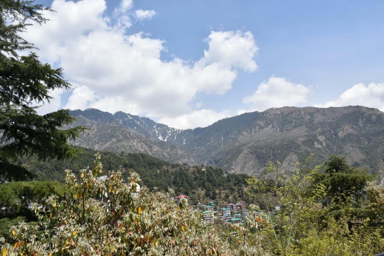 Hotel Misty Woods Dharamshala Exterior foto