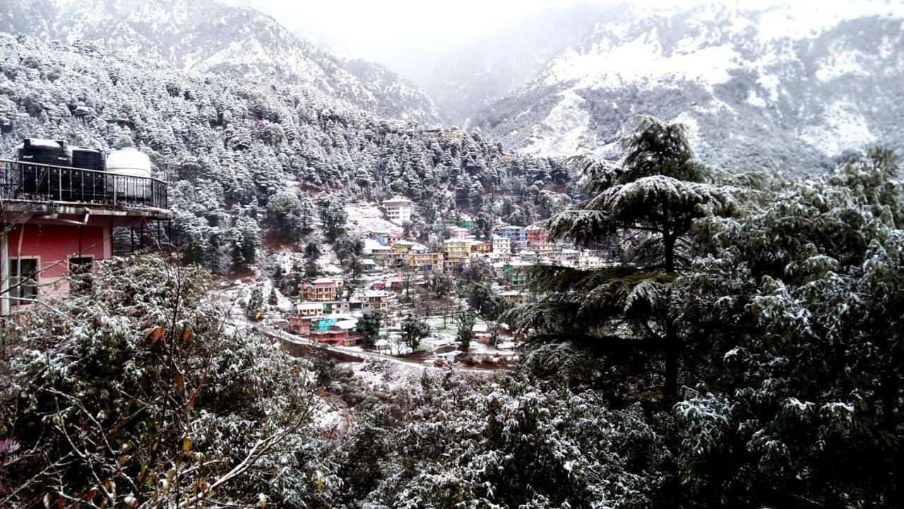 Hotel Misty Woods Dharamshala Exterior foto